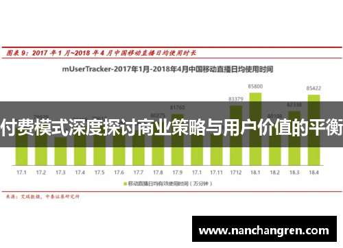 付费模式深度探讨商业策略与用户价值的平衡