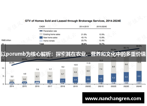 以porumb为核心解析：探索其在农业、营养和文化中的多重价值
