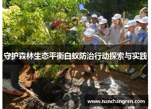 守护森林生态平衡白蚁防治行动探索与实践