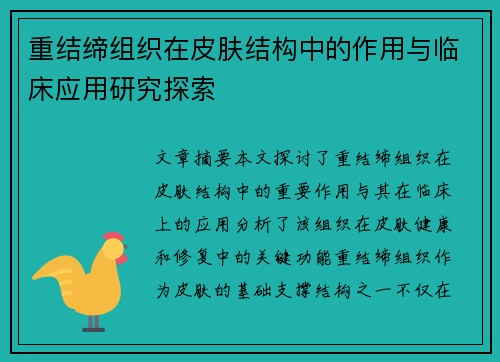 重结缔组织在皮肤结构中的作用与临床应用研究探索